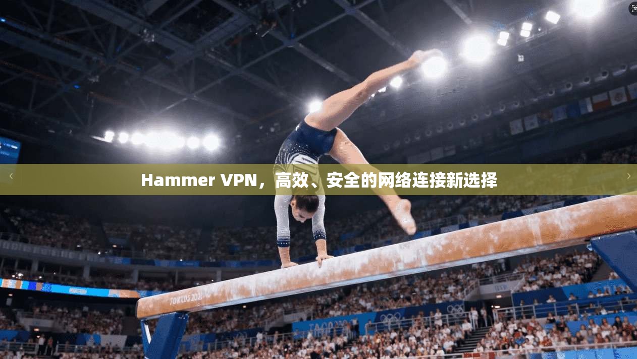 Hammer VPN,高效、安全的网络连接新选择 Hammer VPN,高效、安全的网络连接新选择