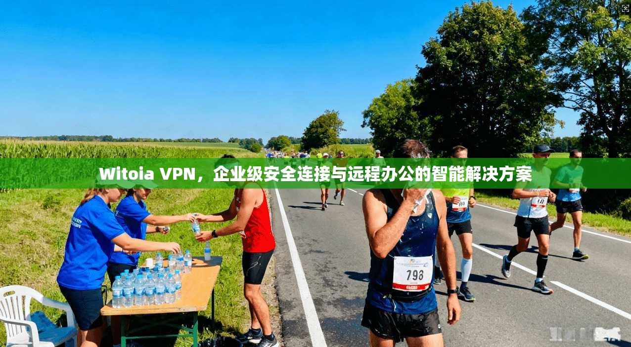 Witoia VPN,企业级安全连接与远程办公的智能解决方案 Witoia VPN,企业级安全连接与远程办公的智能解决方案