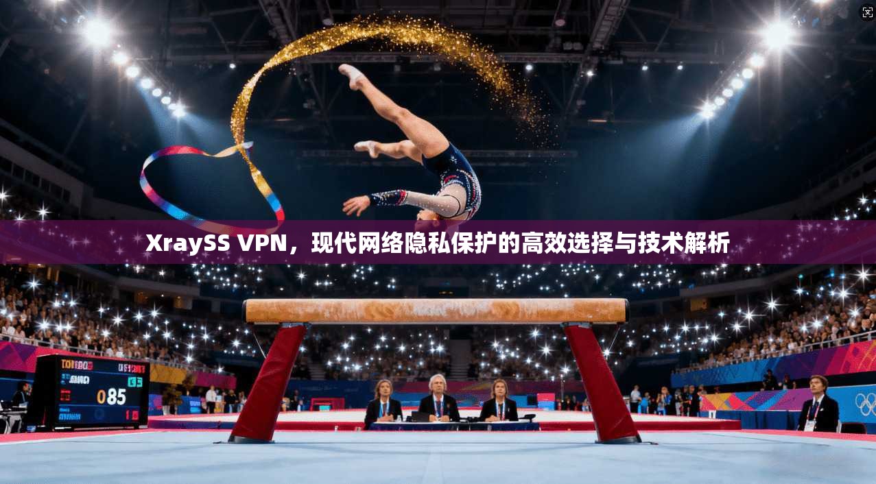 XraySS VPN,现代网络隐私保护的高效选择与技术解析 XraySS VPN,现代网络隐私保护的高效选择与技术解析