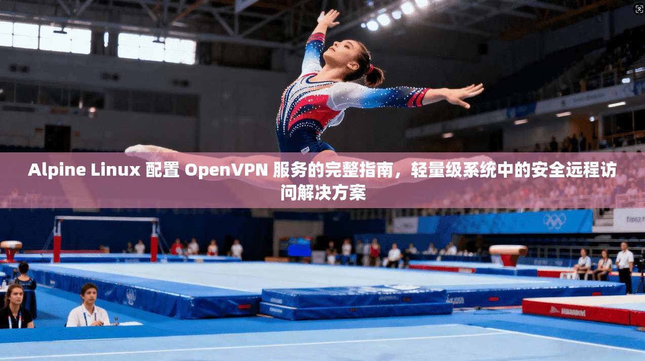Alpine Linux 配置 OpenVPN 服务的完整指南,轻量级系统中的安全远程访问解决方案 Alpine Linux 配置 OpenVPN 服务的完整指南,轻量级系统中的安全远程访问解决方案