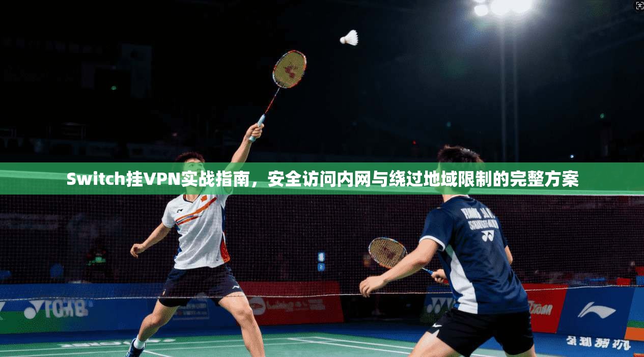 Switch挂VPN实战指南,安全访问内网与绕过地域限制的完整方案 Switch挂VPN实战指南,安全访问内网与绕过地域限制的完整方案