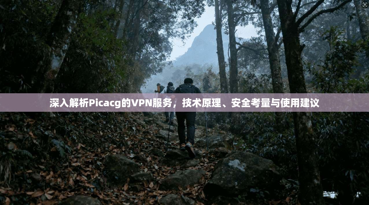 深入解析Picacg的VPN服务,技术原理、安全考量与使用建议