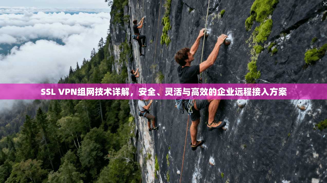 SSL VPN组网技术详解,安全、灵活与高效的企业远程接入方案 SSL VPN组网技术详解,安全、灵活与高效的企业远程接入方案