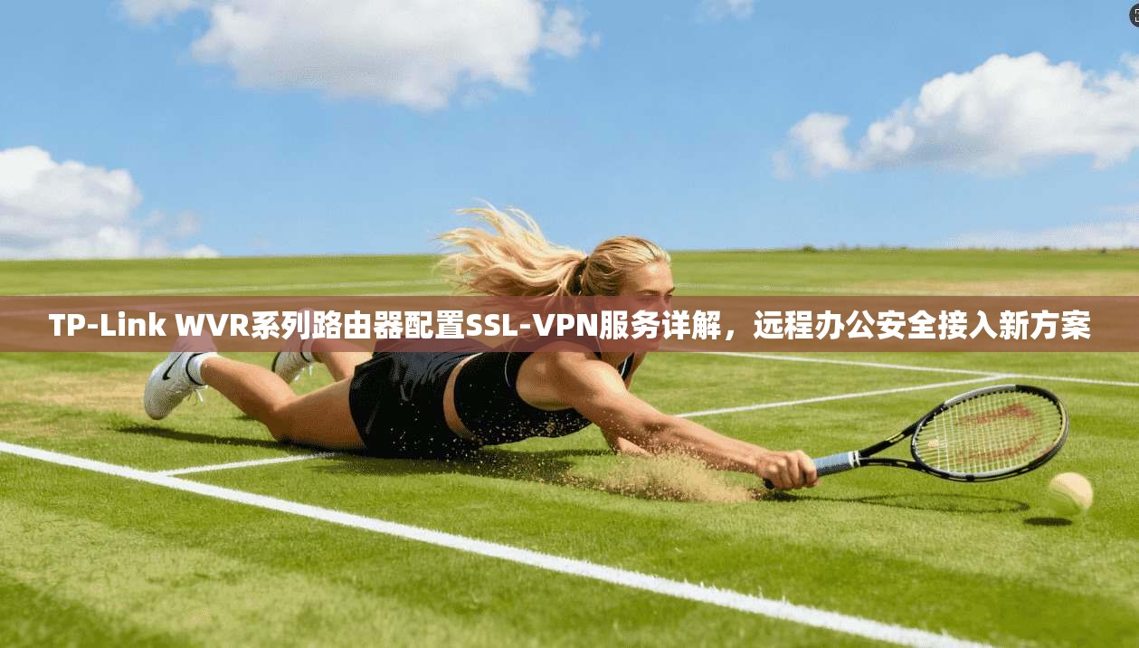 TP-Link WVR系列路由器配置SSL-VPN服务详解,远程办公安全接入新方案 TP-Link WVR系列路由器配置SSL-VPN服务详解,远程办公安全接入新方案