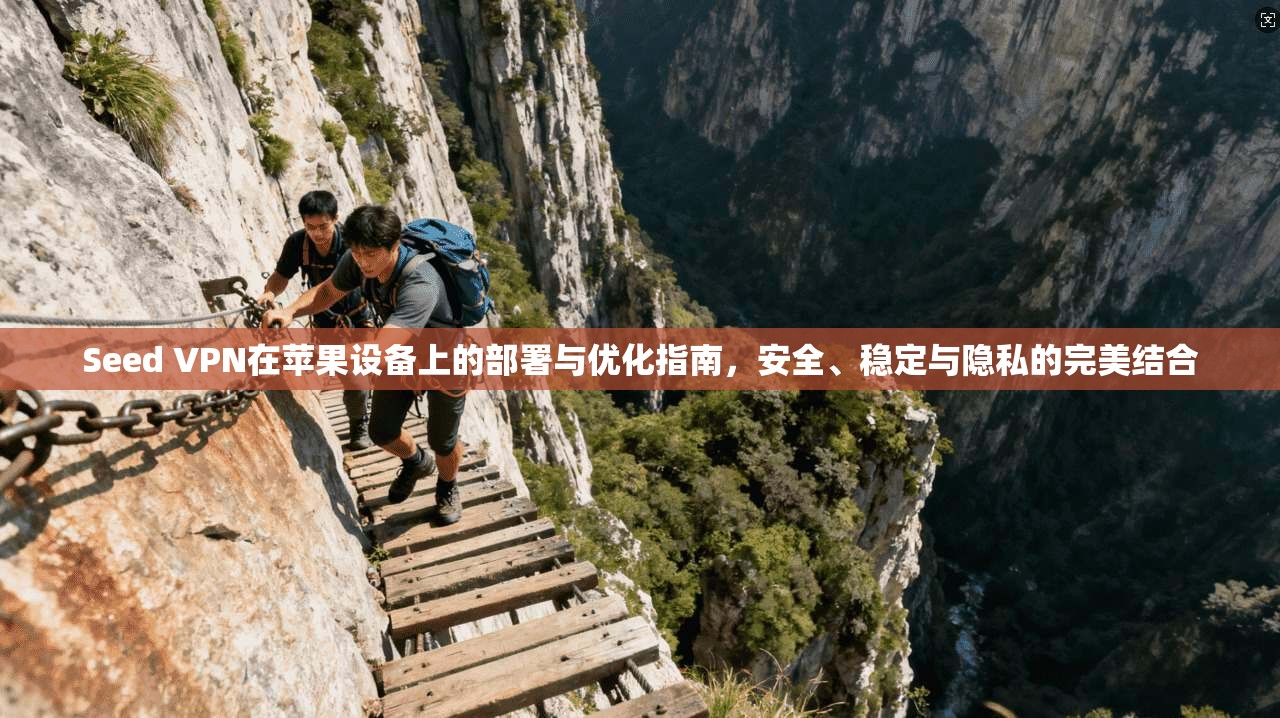 Seed VPN在苹果设备上的部署与优化指南,安全、稳定与隐私的完美结合 Seed VPN在苹果设备上的部署与优化指南,安全、稳定与隐私的完美结合