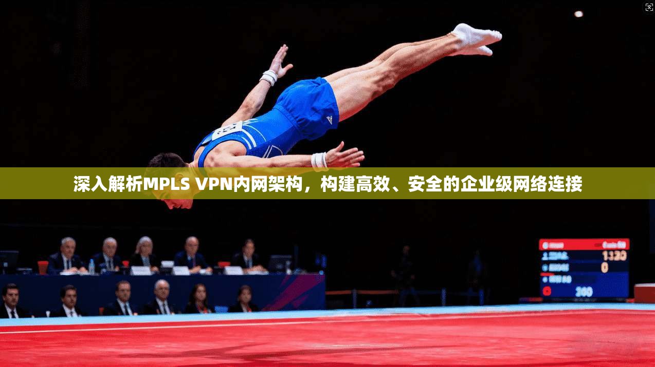 深入解析MPLS VPN内网架构,构建高效、安全的企业级网络连接 深入解析MPLS VPN内网架构,构建高效、安全的企业级网络连接