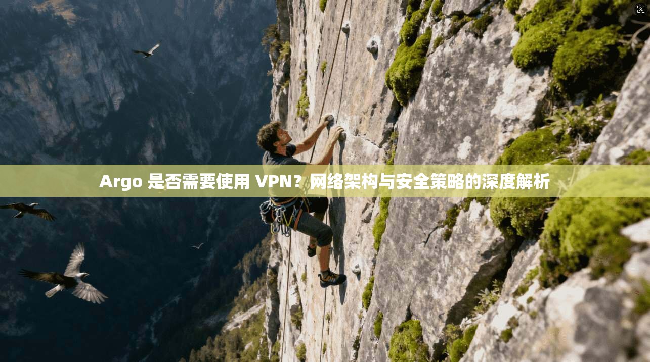 Argo 是否需要使用 VPN?网络架构与安全策略的深度解析 Argo 是否需要使用 VPN?网络架构与安全策略的深度解析