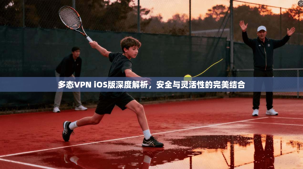 多态VPN iOS版深度解析,安全与灵活性的完美结合 多态VPN iOS版深度解析,安全与灵活性的完美结合