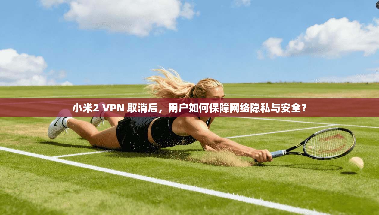 小米2 VPN 取消后,用户如何保障网络隐私与安全? 小米2 VPN 取消后,用户如何保障网络隐私与安全?