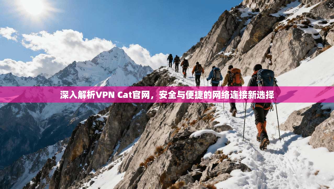 深入解析VPN Cat官网,安全与便捷的网络连接新选择 深入解析VPN Cat官网,安全与便捷的网络连接新选择