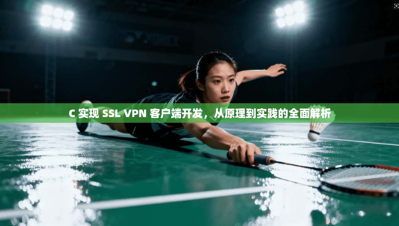 C 实现 SSL VPN 客户端开发,从原理到实践的全面解析 C 实现 SSL VPN 客户端开发,从原理到实践的全面解析