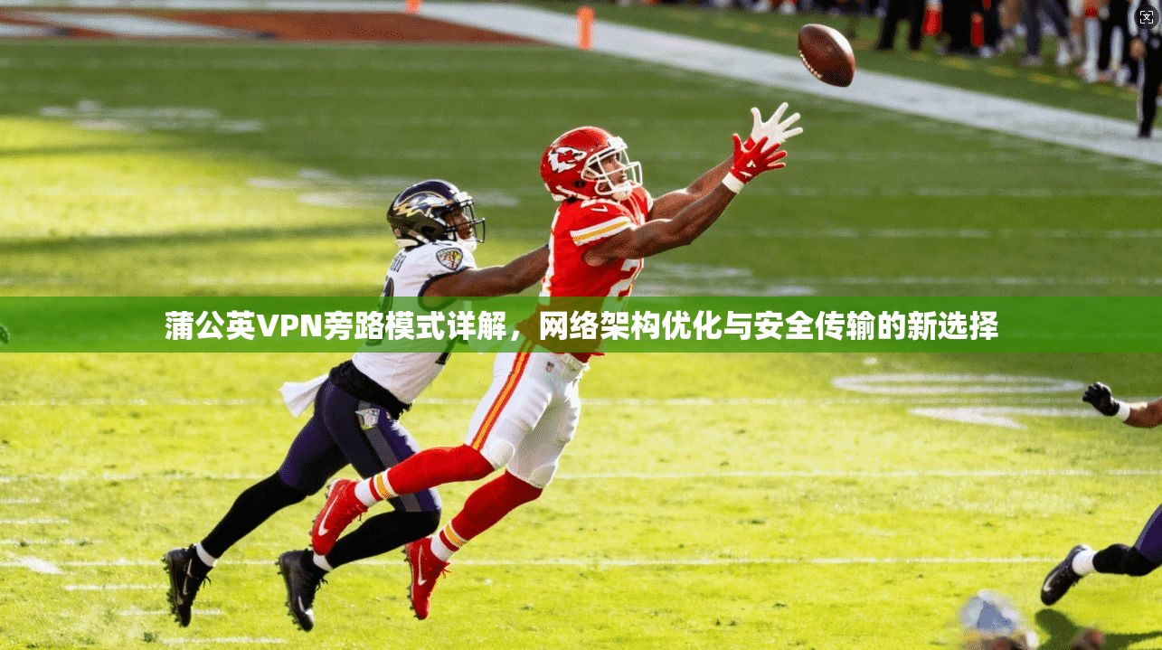蒲公英VPN旁路模式详解,网络架构优化与安全传输的新选择 蒲公英VPN旁路模式详解,网络架构优化与安全传输的新选择
