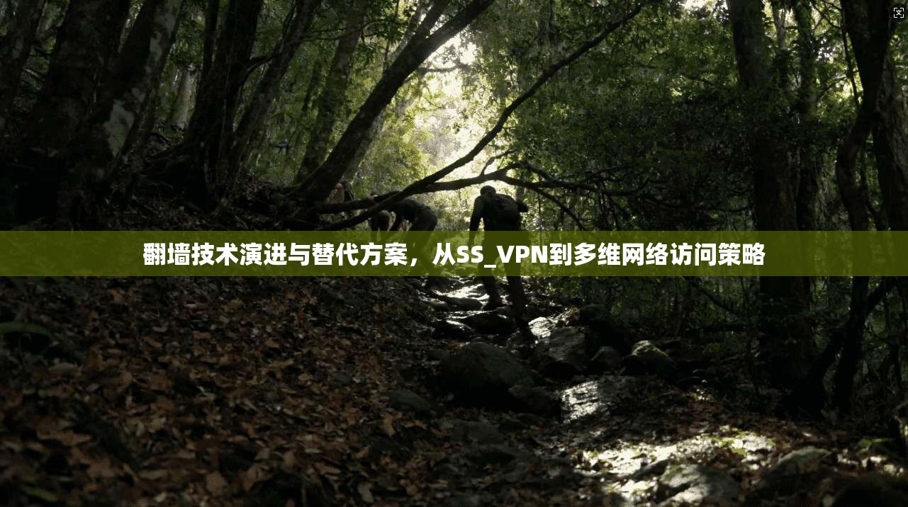 翻墙技术演进与替代方案,从SS_VPN到多维网络访问策略 翻墙技术演进与替代方案,从SS_VPN到多维网络访问策略
