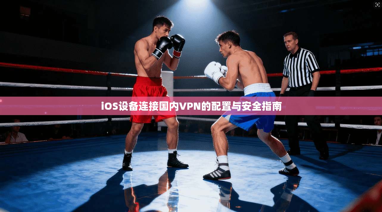 iOS设备连接国内VPN的配置与安全指南 iOS设备连接国内VPN的配置与安全指南