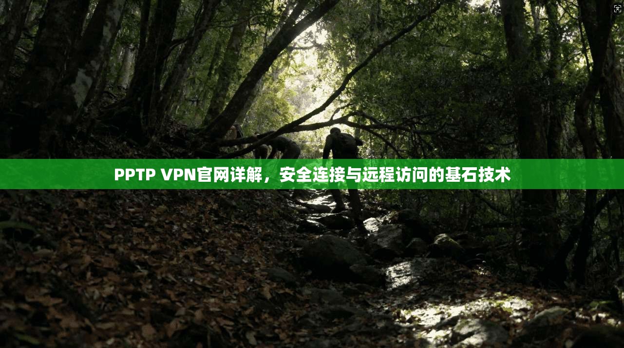 PPTP VPN官网详解，安全连接与远程访问的基石技术