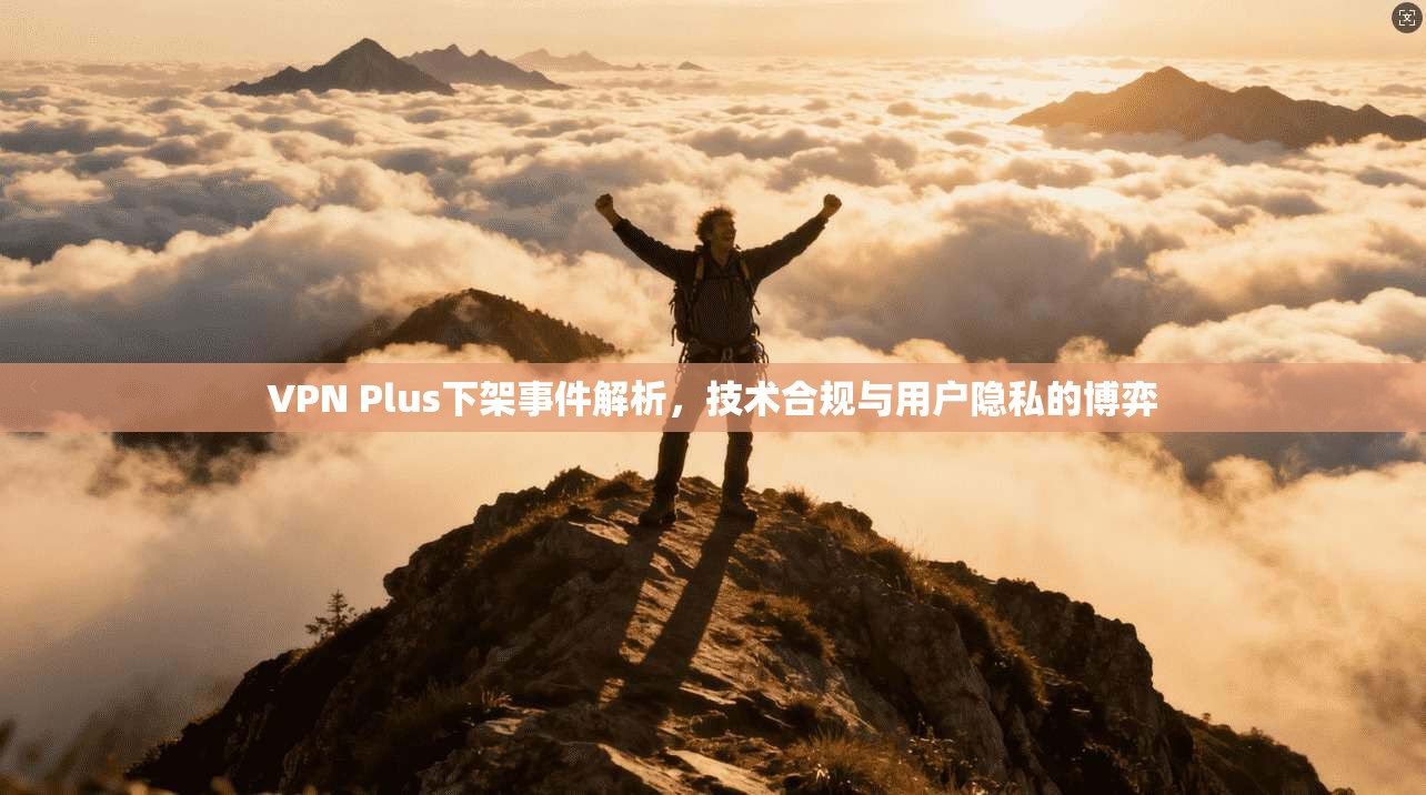 VPN Plus下架事件解析，技术合规与用户隐私的博弈