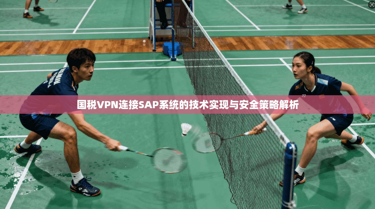 国税VPN连接SAP系统的技术实现与安全策略解析