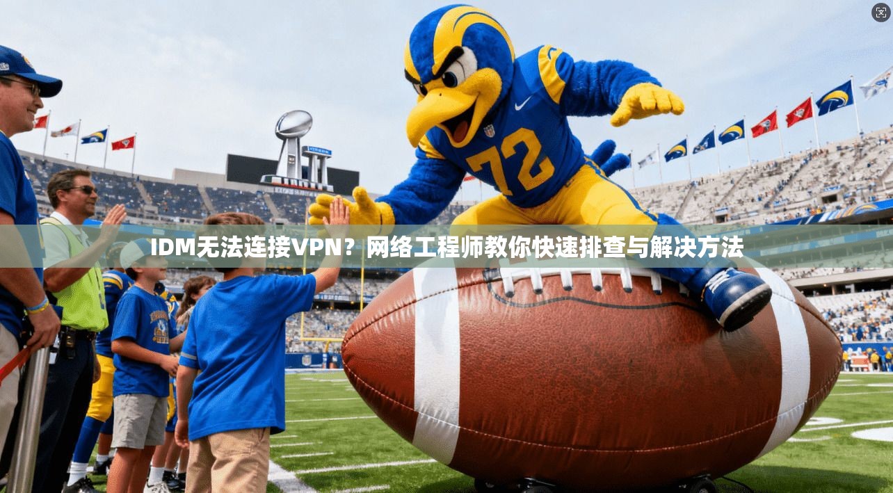 IDM无法连接VPN?网络工程师教你快速排查与解决方法 IDM无法连接VPN?网络工程师教你快速排查与解决方法
