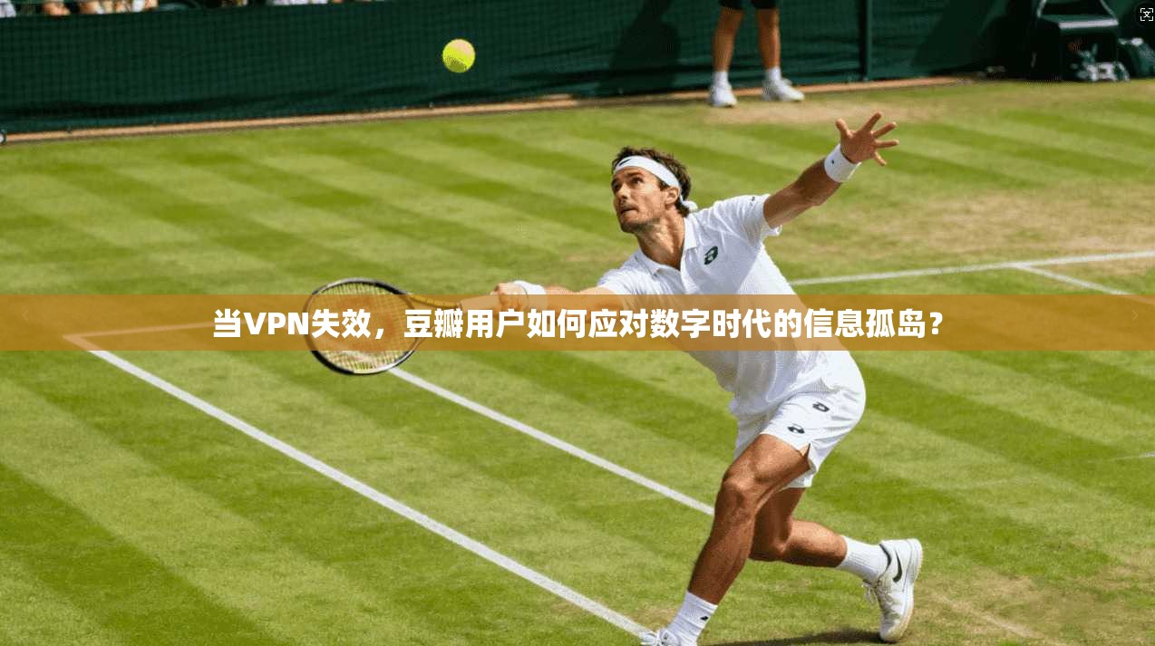 当VPN失效，豆瓣用户如何应对数字时代的信息孤岛？