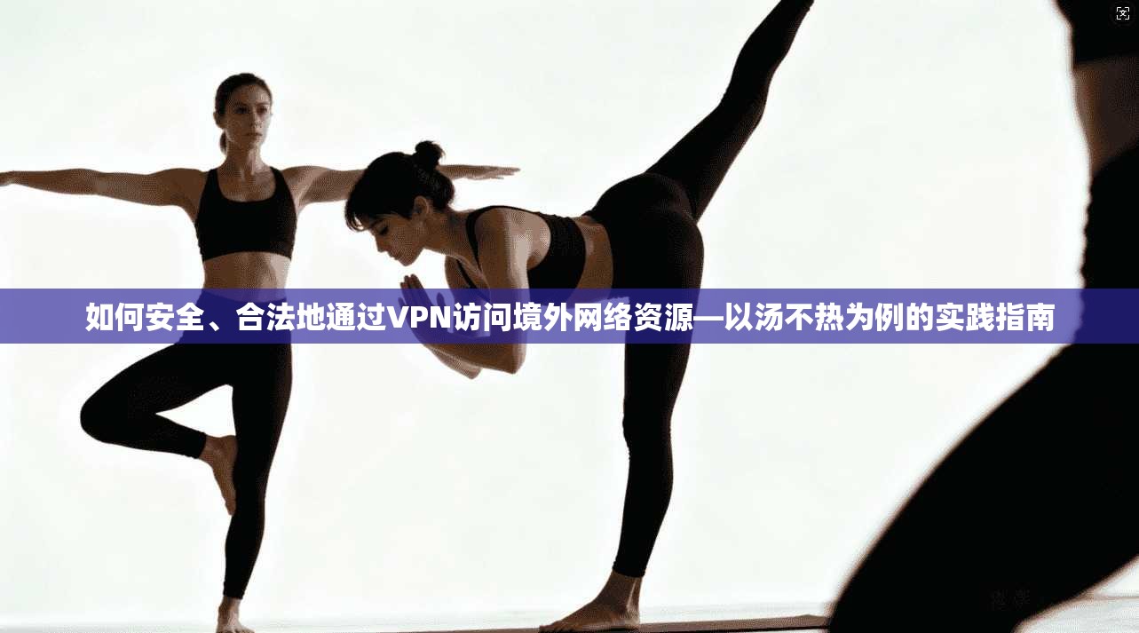 如何安全、合法地通过VPN访问境外网络资源—以汤不热为例的实践指南 如何安全、合法地通过VPN访问境外网络资源—以汤不热为例的实践指南