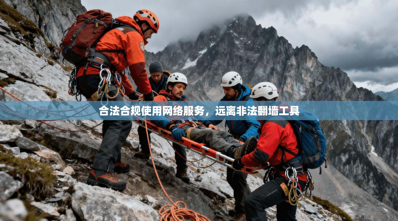 合法合规使用网络服务,远离非法翻墙工具 合法合规使用网络服务,远离非法翻墙工具
