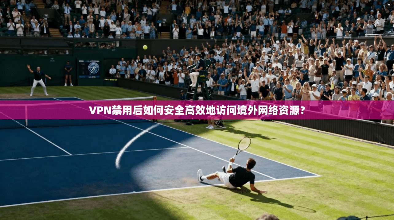 VPN禁用后如何安全高效地访问境外网络资源? VPN禁用后如何安全高效地访问境外网络资源?
