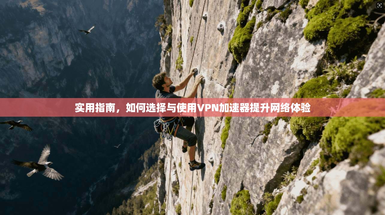 实用指南,如何选择与使用VPN加速器提升网络体验 实用指南,如何选择与使用VPN加速器提升网络体验
