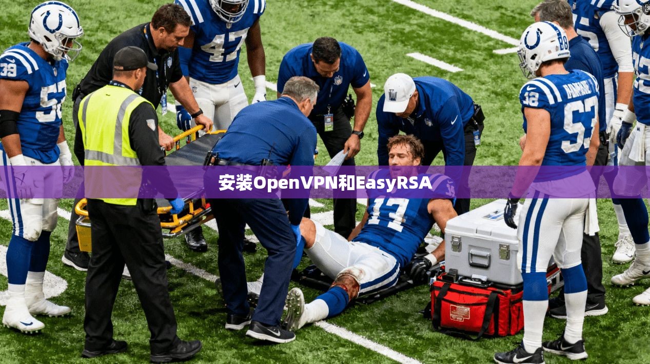 安装OpenVPN和EasyRSA