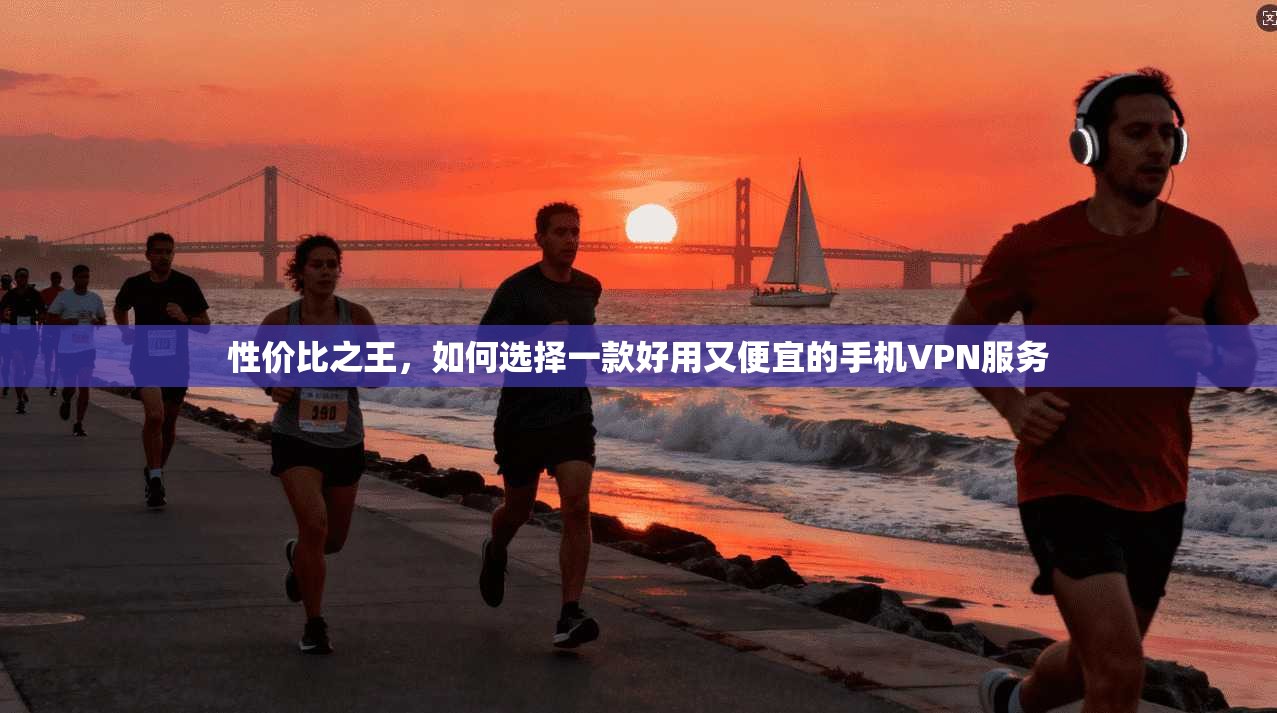 性价比之王,如何选择一款好用又便宜的手机VPN服务 性价比之王,如何选择一款好用又便宜的手机VPN服务
