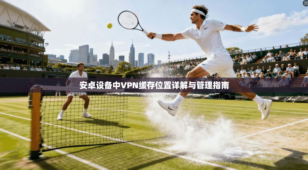 安卓设备中VPN缓存位置详解与管理指南 安卓设备中VPN缓存位置详解与管理指南