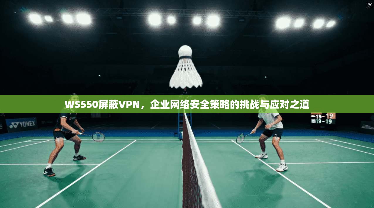 WS550屏蔽VPN,企业网络安全策略的挑战与应对之道 WS550屏蔽VPN,企业网络安全策略的挑战与应对之道