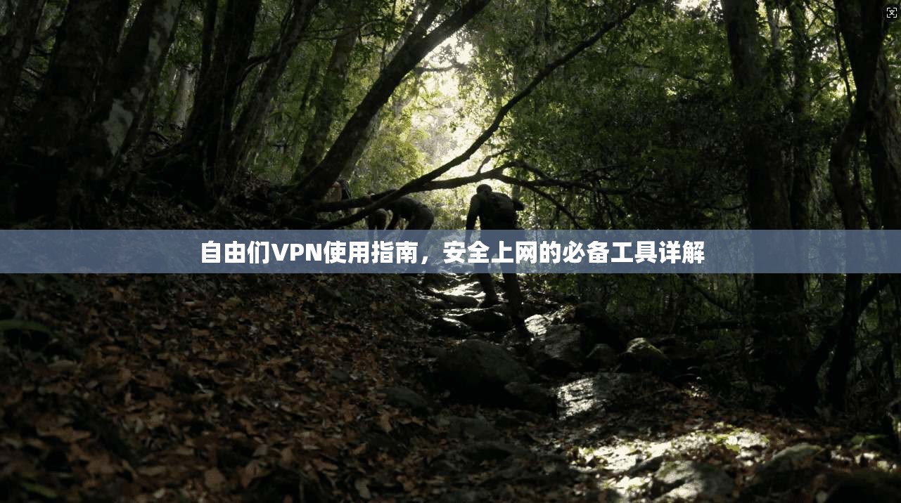 自由们VPN使用指南,安全上网的必备工具详解 自由们VPN使用指南,安全上网的必备工具详解
