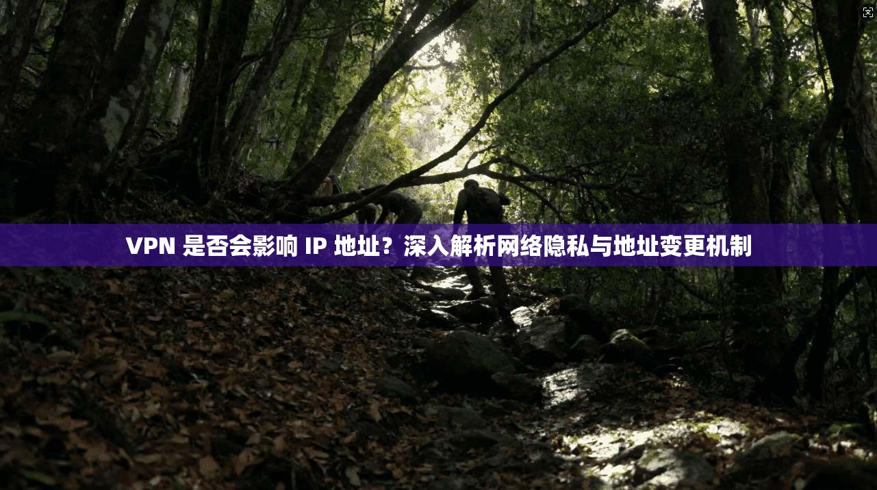 VPN 是否会影响 IP 地址?深入解析网络隐私与地址变更机制 VPN 是否会影响 IP 地址?深入解析网络隐私与地址变更机制