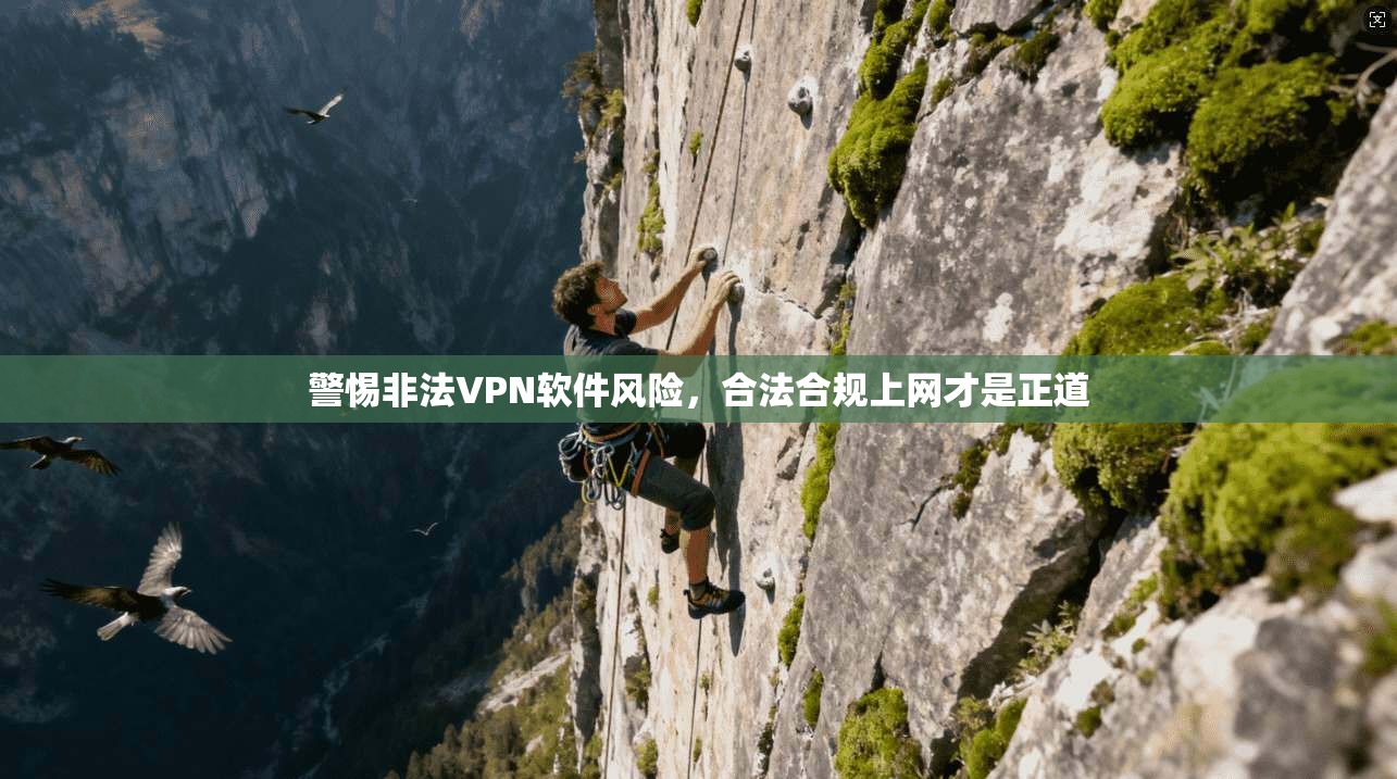 警惕非法VPN软件风险,合法合规上网才是正道 警惕非法VPN软件风险,合法合规上网才是正道