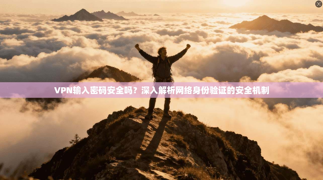 VPN输入密码安全吗?深入解析网络身份验证的安全机制 VPN输入密码安全吗?深入解析网络身份验证的安全机制