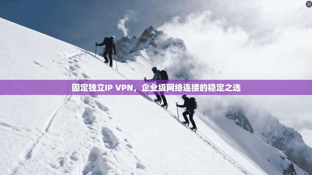 固定独立IP VPN,企业级网络连接的稳定之选 固定独立IP VPN,企业级网络连接的稳定之选