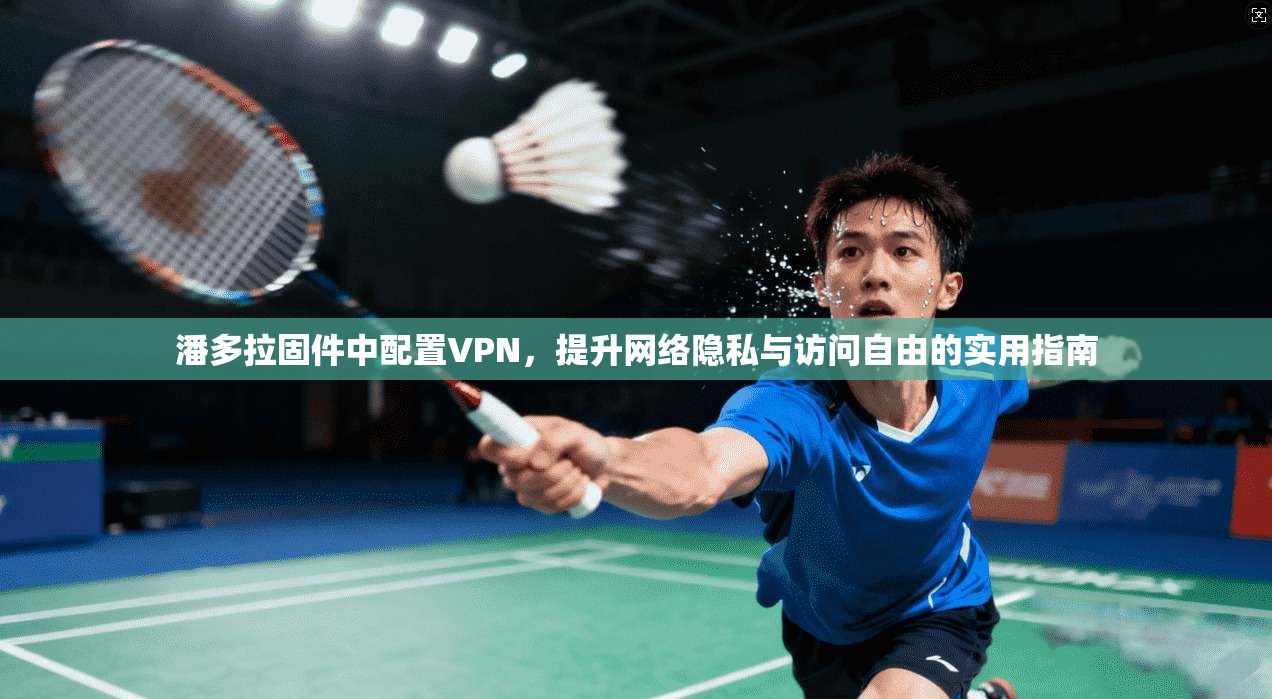 潘多拉固件中配置VPN,提升网络隐私与访问自由的实用指南 潘多拉固件中配置VPN,提升网络隐私与访问自由的实用指南
