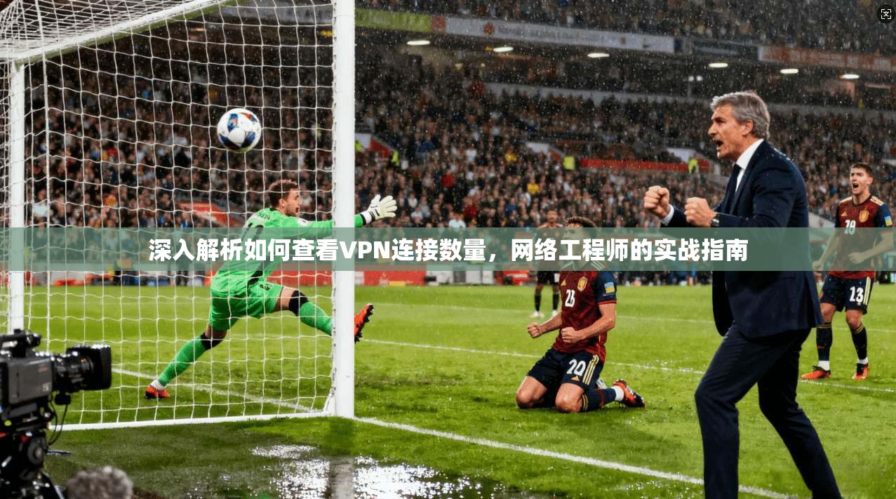 深入解析如何查看VPN连接数量,网络工程师的实战指南 深入解析如何查看VPN连接数量,网络工程师的实战指南