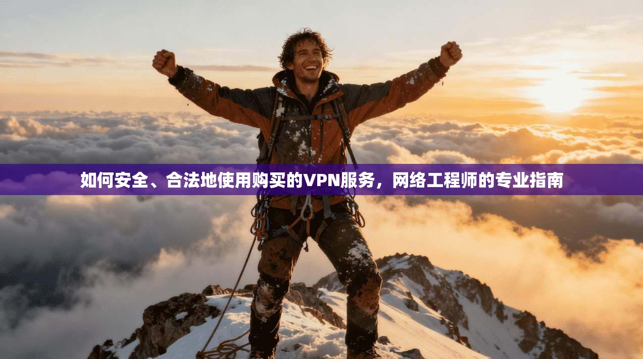 如何安全、合法地使用购买的VPN服务,网络工程师的专业指南 如何安全、合法地使用购买的VPN服务,网络工程师的专业指南