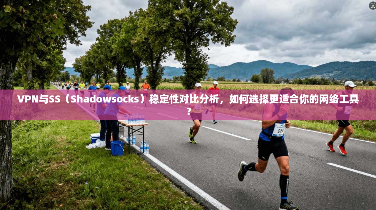 VPN与SS(Shadowsocks)稳定性对比分析,如何选择更适合你的网络工具? VPN与SS(Shadowsocks)稳定性对比分析,如何选择更适合你的网络工具?