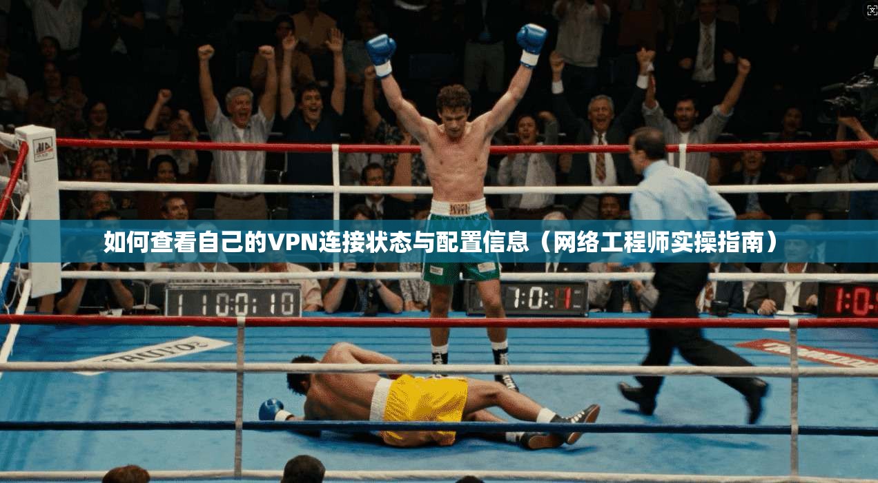 如何查看自己的VPN连接状态与配置信息(网络工程师实操指南) 如何查看自己的VPN连接状态与配置信息(网络工程师实操指南)