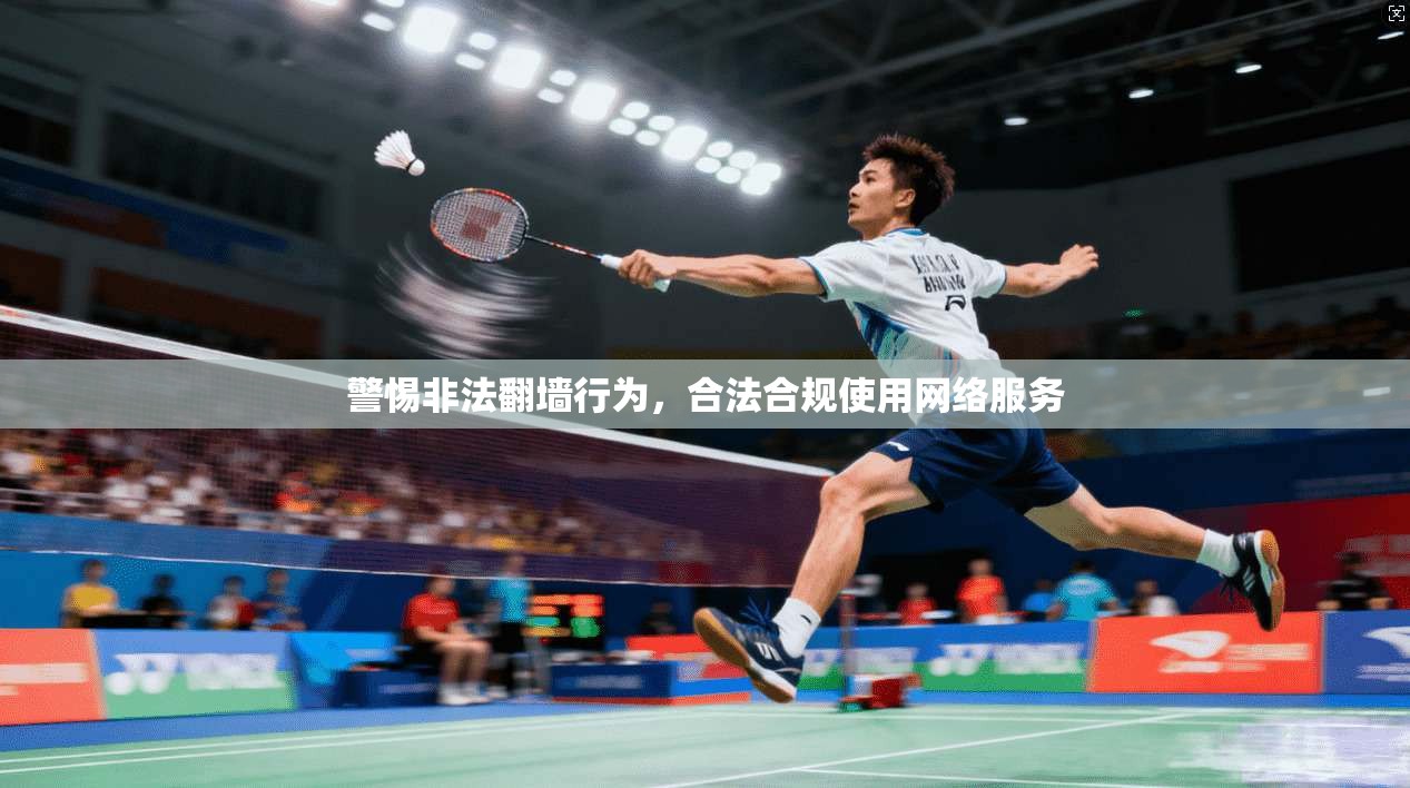 警惕非法翻墙行为,合法合规使用网络服务 警惕非法翻墙行为,合法合规使用网络服务