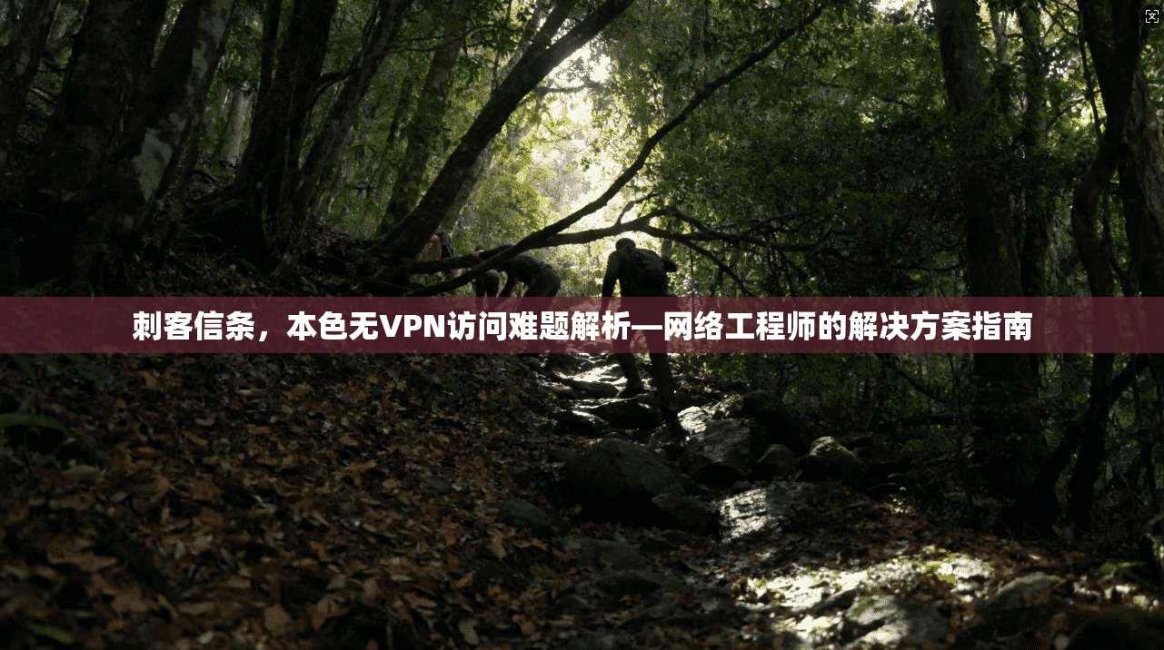 刺客信条,本色无VPN访问难题解析—网络工程师的解决方案指南 刺客信条,本色无VPN访问难题解析—网络工程师的解决方案指南