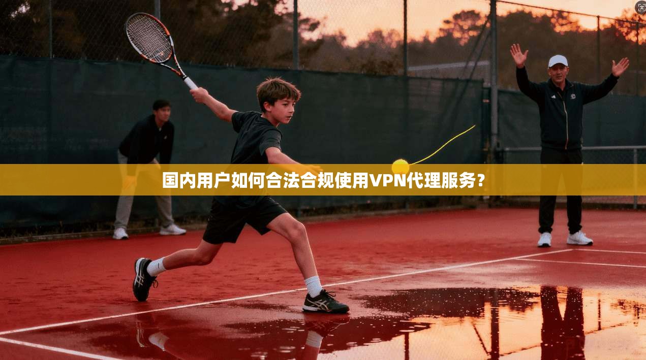 国内用户如何合法合规使用VPN代理服务? 国内用户如何合法合规使用VPN代理服务?