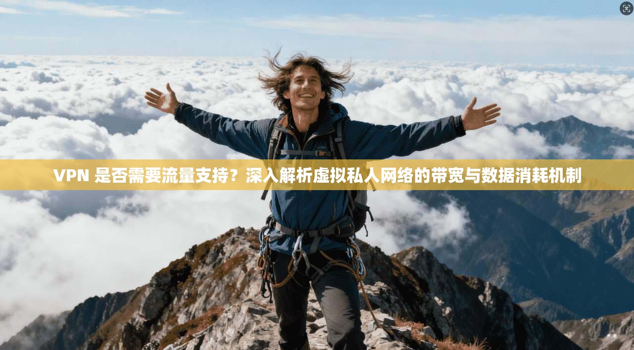 VPN 是否需要流量支持?深入解析虚拟私人网络的带宽与数据消耗机制 VPN 是否需要流量支持?深入解析虚拟私人网络的带宽与数据消耗机制