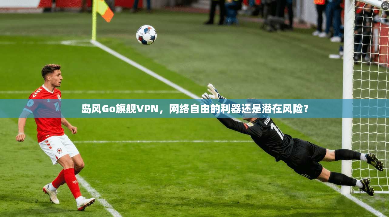 岛风Go旗舰VPN,网络自由的利器还是潜在风险? 岛风Go旗舰VPN,网络自由的利器还是潜在风险?