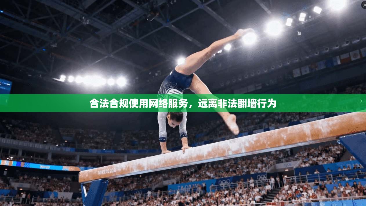 合法合规使用网络服务,远离非法翻墙行为 合法合规使用网络服务,远离非法翻墙行为