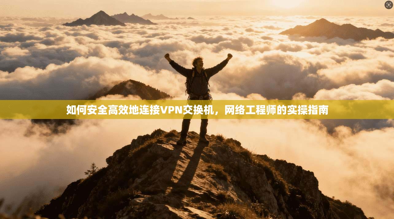 如何安全高效地连接VPN交换机,网络工程师的实操指南 如何安全高效地连接VPN交换机,网络工程师的实操指南