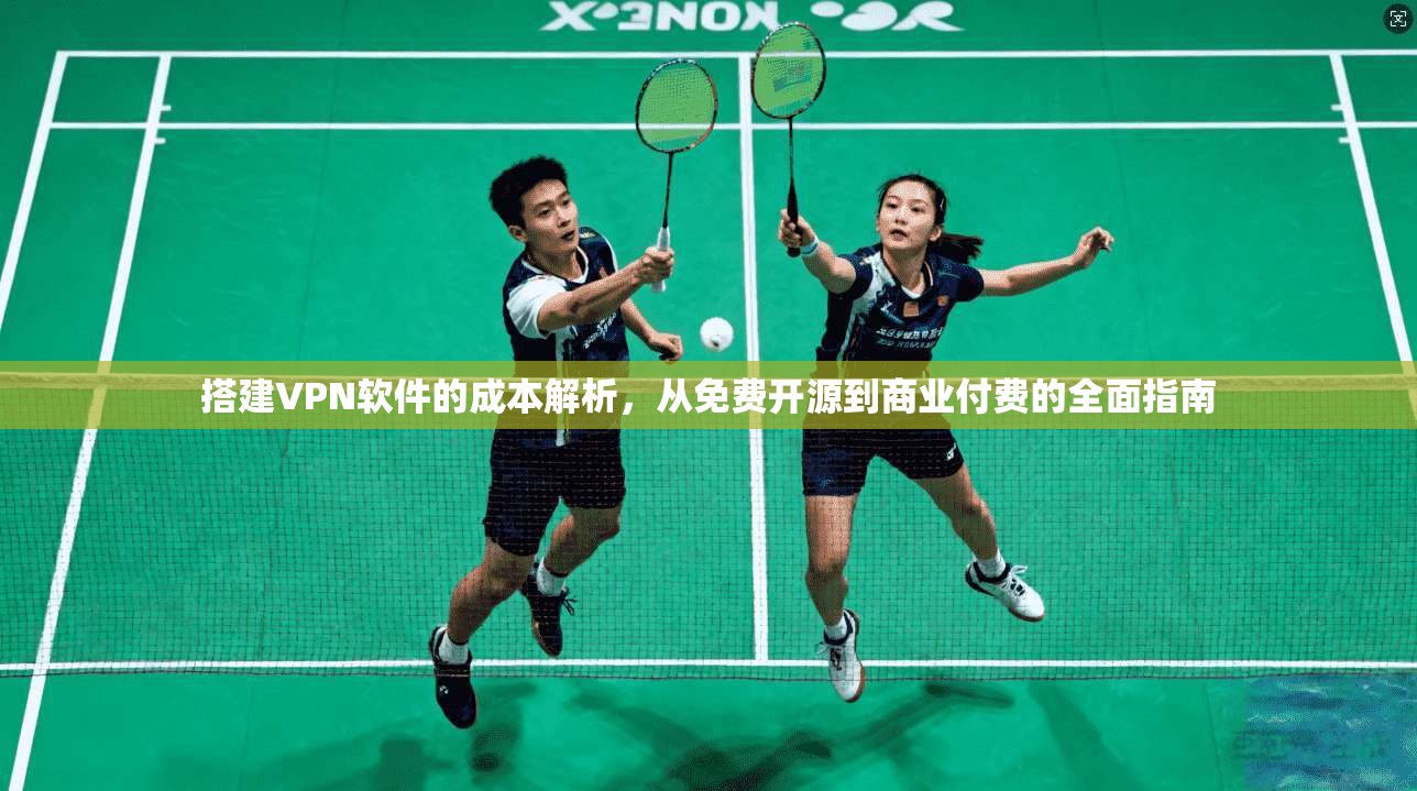 搭建VPN软件的成本解析,从免费开源到商业付费的全面指南 搭建VPN软件的成本解析,从免费开源到商业付费的全面指南