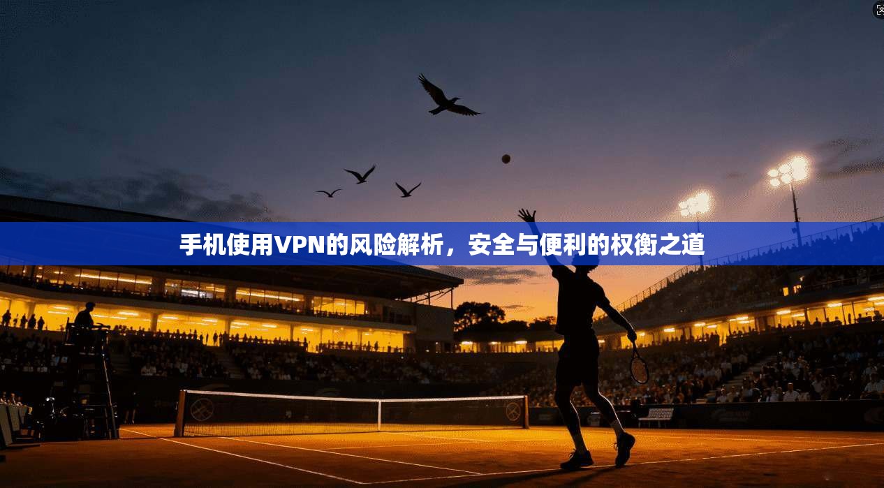 手机使用VPN的风险解析,安全与便利的权衡之道 手机使用VPN的风险解析,安全与便利的权衡之道